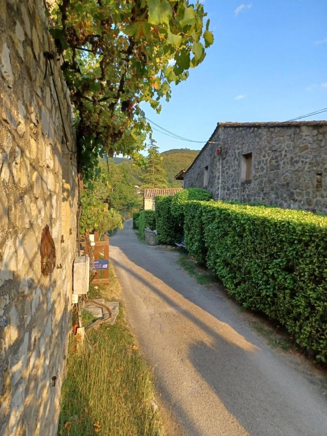 Gites Du Domaine De Serre Long Saint-Maurice-d'Ibie Экстерьер фото
